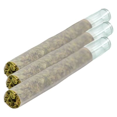Magik Dragon Glass Tip Pre-Rolls - 3x0.5g Indica