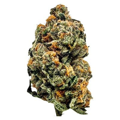 The Method - TICAL - Hybrid - Dried Flower