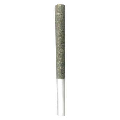 Dragon Cookies Pre-Roll