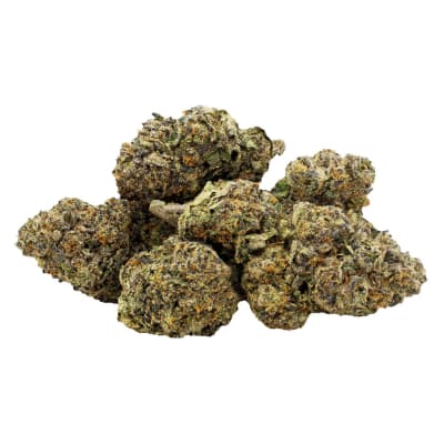 Jealousy x Biscotti - 7g Indica