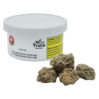 Lemon-Up - Truro - Sativa - Dried Flower