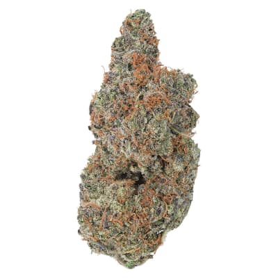 Strawberry Gary - Coterie - Sativa - Dried Flower