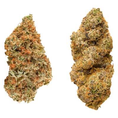 Taster Series Variety Pack - 28g Hybrid