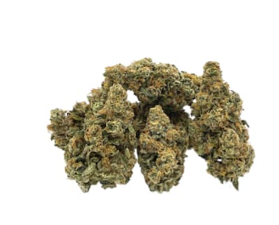 Rootbeer #8 Sativa by Trailblazer - TRAILBLAZER ROOTBEER #8 SATIVA - 14g (SATIVA)