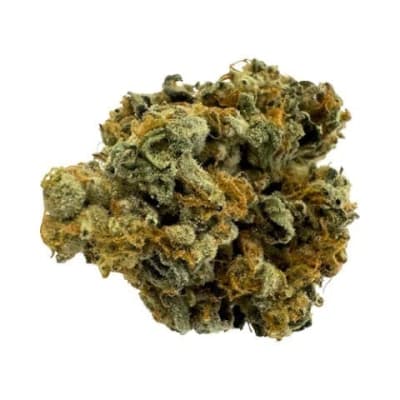 MORNING SUN - 7G by Qwest - MORNING SUN - 7G