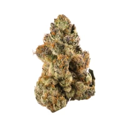 BONG GURU ROCKSTAR | BONG GURU ROCKSTAR - 14g