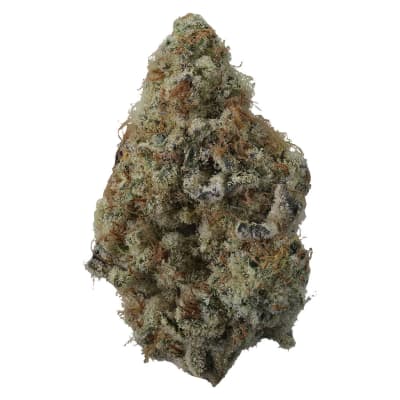 Spritzer Dried Flower