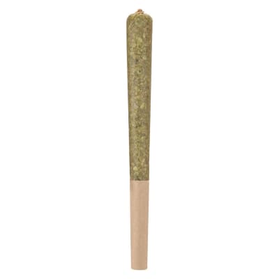 Country Club (Cactus Milk) Infused Pre-Roll | 1x1g