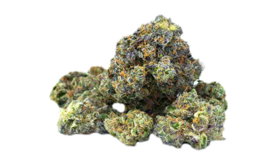 Ego Checker Dried Flower
