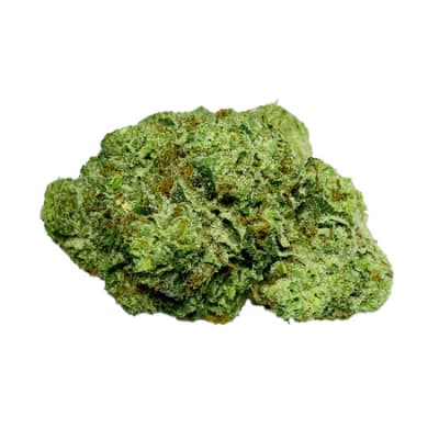 MASTER KUSH ULTRA - 7g by