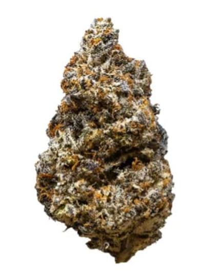 Breath Oooze Mendo Breath Flower