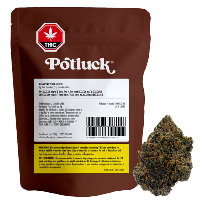 Beaver Tail - 7g Indica