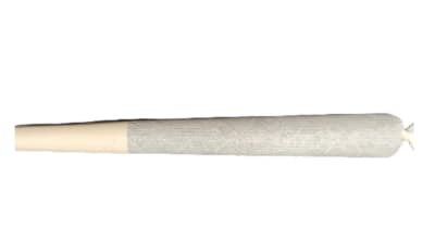 Ambassador Pre Rolls Sevens Ambassador