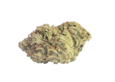 VIOLATOR KUSH