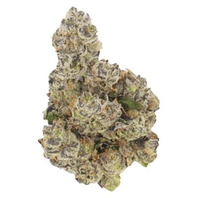 Honeycomb Haze Dried Flower