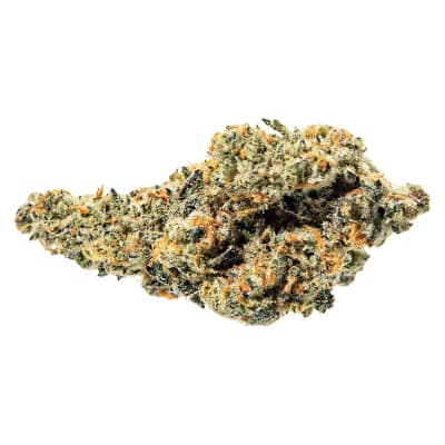Tropical Meltdown 3.5g Dried Flower