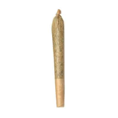 Cookie God 1 x 1g Pre-Roll