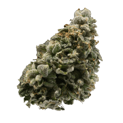 Western Cannabis | Orange Creamsicle (Sativa)