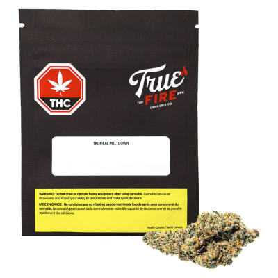 Tropical Meltdown - 3.5g Sativa