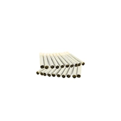 BLOCK PARTY PRE-ROLLS (20 x .5G) - BLOCK PARTY PRE-ROLLS - 10G