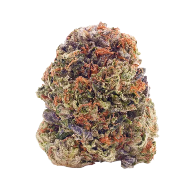 *Farm to Store* Mango Voltage by Choklit Park - Mango Voltage - 7g (SATIVA)