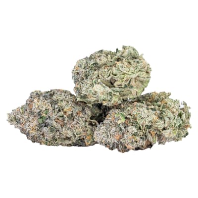 EXPO67 - 3.5g