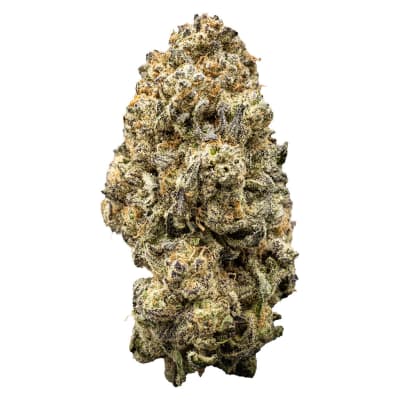 Orange Slushie - 7g Hybrid