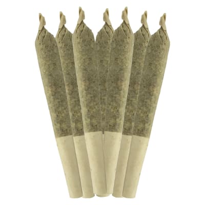 Bluefin Tuna Pre-Roll