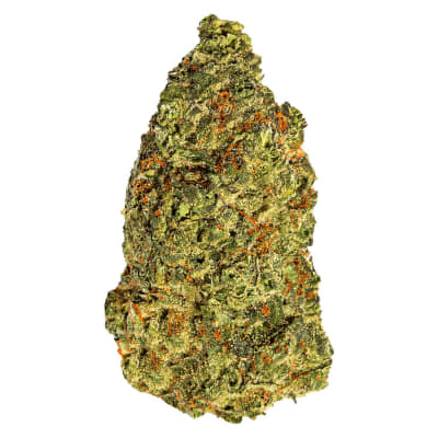 Turbo Diesel | South Point | Hybrid Dried Flower
