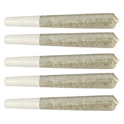 Glazed Apricot Gelato Pre-Rolls - 5x1g Sativa