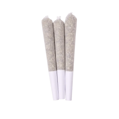 Razzle Dazzle Pre Rolls Razzle