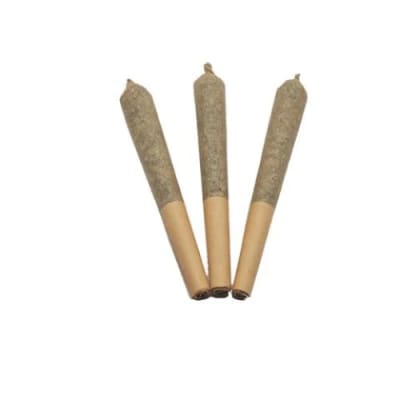 MANGO GOLD PRE-ROLLS (3 X.5G) - Ross' Gold - MANGO GOLD PRE-ROLLS - 1.5