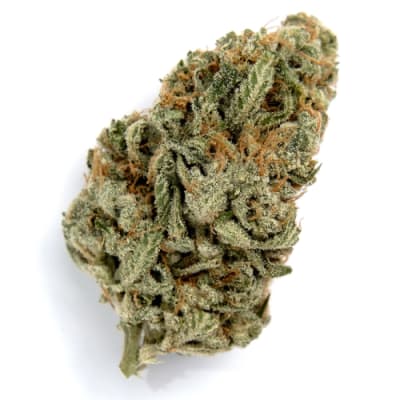 Animal Cookies - Sativa - OUTDOOR GROWN - 28g in Iqaluit