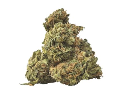 PURPLE COW TIPPER BUDSKI