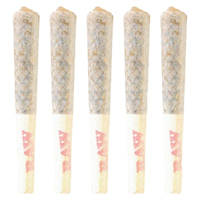 Watermelon Mojo ZKTLZ Pre-Rolls - 5x0.5g Indica