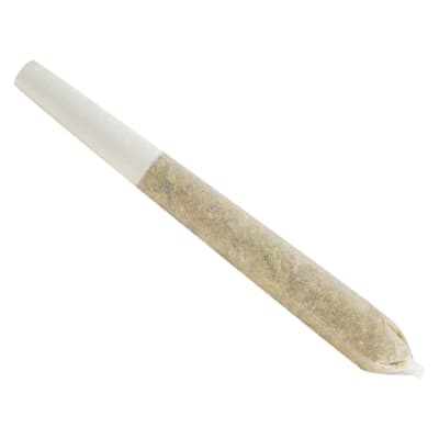 Permanent Marker Pre-Roll