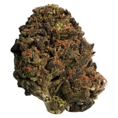 BC Organic Sungrown Mango Sapphire | 28g - 28g in Mississauga