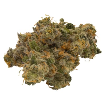 Jealousy x Apples & Bananas - 3.5g Indica