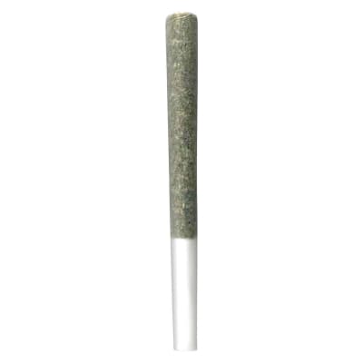 The Penny Puffer Hash Infused Pre-Roll | 1-Pack | 1x0.5g