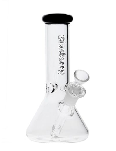 Purple Blueberry Mini Beaker