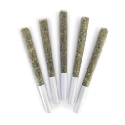 EL CHANGUITO PRE-ROLLS - 2.5g 5pk