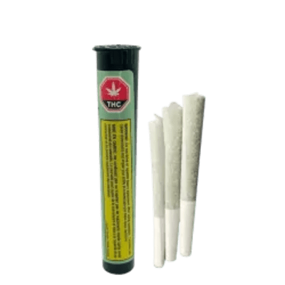 5PK - Lemonade Lava Infused Pre-Rolls 5x0.5g by Terra Labs (SATIVA)