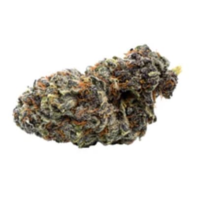 GEORGIA PIE BY QWEST- 7G - GEORGIA PIE BY