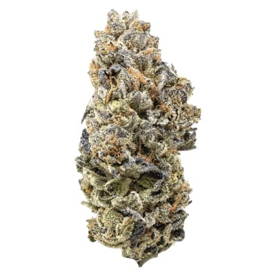Queen of the Underground - Candy Apple - Candy Apple Dried Flower - 28g in St. Catharines