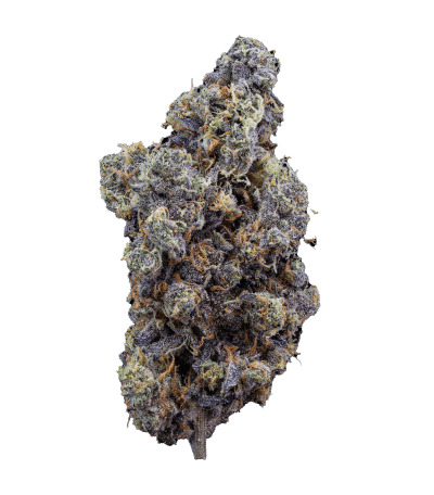 Mint Chocolate Chip