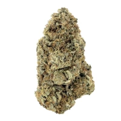 RAINBOW DRIVER CRAFT FLOWER - 14g