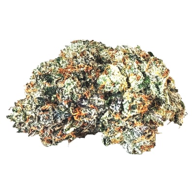 Gas N' Up - 28g Indica