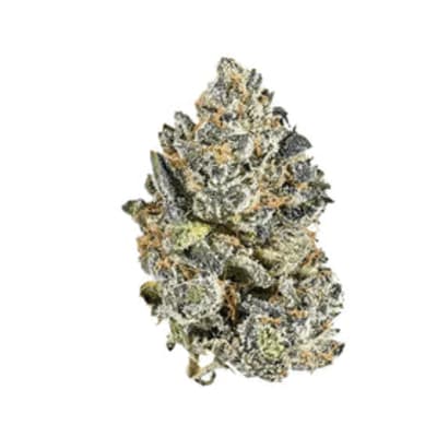BLACK ROSES WHOLE FLOWER - 7g