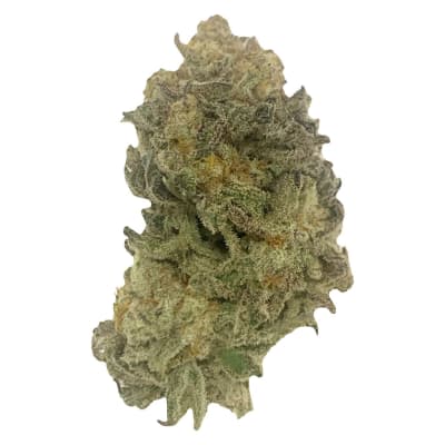 Vip Vancouver Island Pink