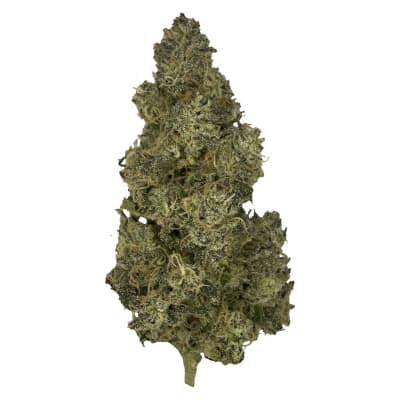 Jet Fuel Gelato Cherry Cheesecake